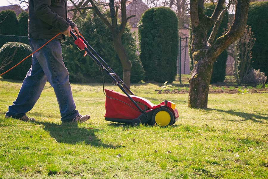 Areacja i wertykulacja gleby jest niezwykle ważna i pomaga utrzymać trawnik w idealnym stanie. Trawnik będzie wtedy gęsty i mocny.